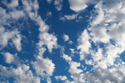 青空と雲 青空と雲の写真