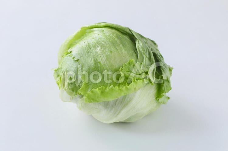 【切抜PSD】レタス レタス,れたす,葉物野菜の写真素材