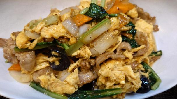 肉卵炒め 肉卵炒め,肉,炒め物の写真素材