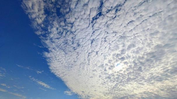 青のキャンバス-103 青のキャンバス-103 青空,白い雲,秋空の写真素材