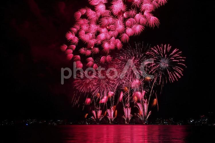 赤く染まる湖上打ち上げ花火/松江水郷祭 花火,花火大会,夏の写真素材