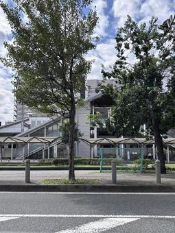 街路樹のある駅前風景 駅前,街並み,都市風景の写真素材