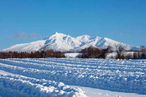 冬の斜里岳と雪に覆われる畑 冬の斜里岳と雪に覆われる畑 斜里岳,雪に覆われた,畑の写真素材