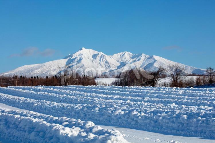 冬の斜里岳と雪に覆われる畑 斜里岳,雪に覆われた,畑の写真素材