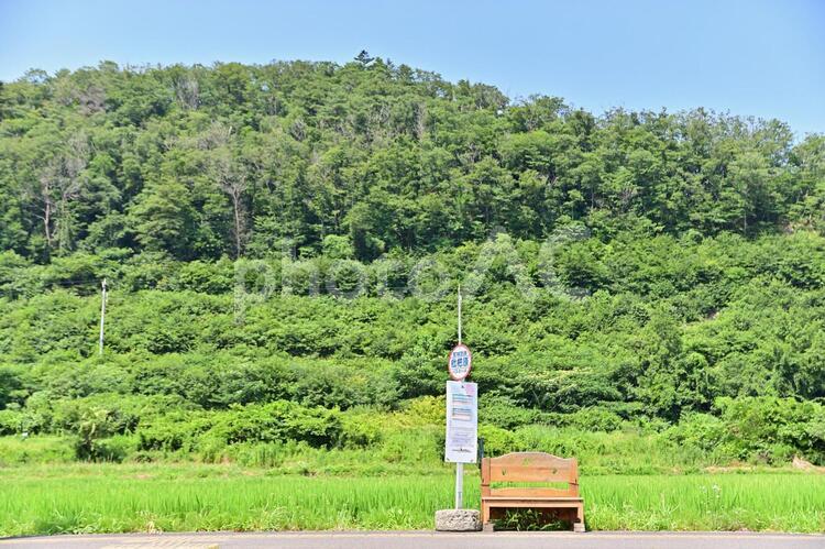 宮城県　田舎のバス停 バス停,バス乗り場,田舎の写真素材