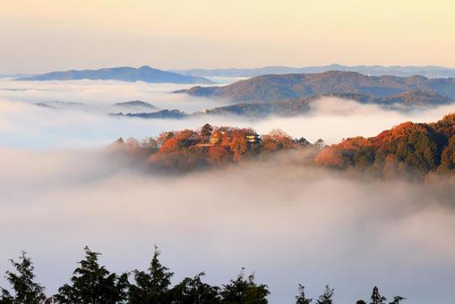 天空の山城 天空の山城 天空の城,天空の山城,備中松山城の写真素材