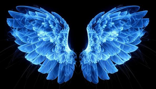 青い光の翼の写真
