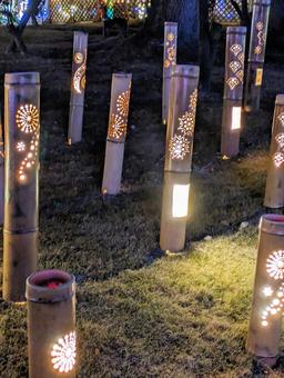冬の竹あかり 竹あかり,冬,夜景の写真素材