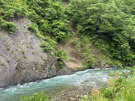 清流② 清流②の写真