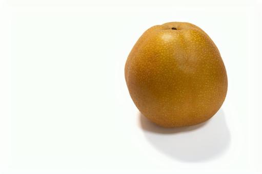 秋の果物の梨 秋の果物の梨 梨,ナシ,甘いの写真素材