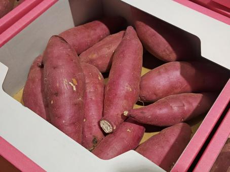 八百屋さんの「さつまいも」 八百屋さんの「さつまいも」 サツマイモ,八百屋,箱の写真素材