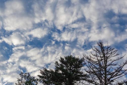 奥飛騨で見上げる秋の空 奥飛騨で見上げる秋の空の写真