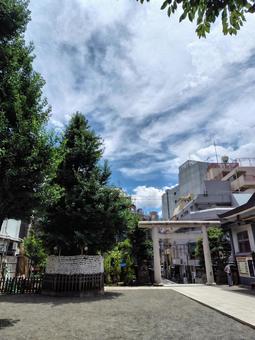 夏の神社 夏の神社 神社,風景,夏の空の写真素材