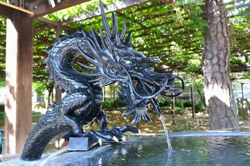お寺の手水舎の龍・手水 (藤井寺) お寺の手水舎の龍・手水 (藤井寺) 手水舎,手水,龍の写真素材