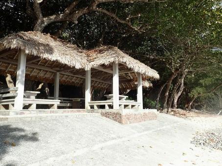 小笠原の景色 小笠原,小笠原の景色,南国の写真素材