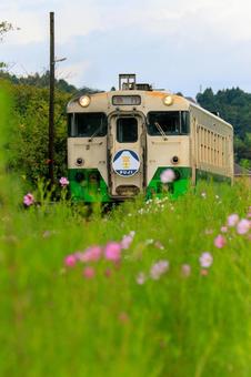 小湊鐵道 小湊鐵道,急行富士号,こすもすの写真素材