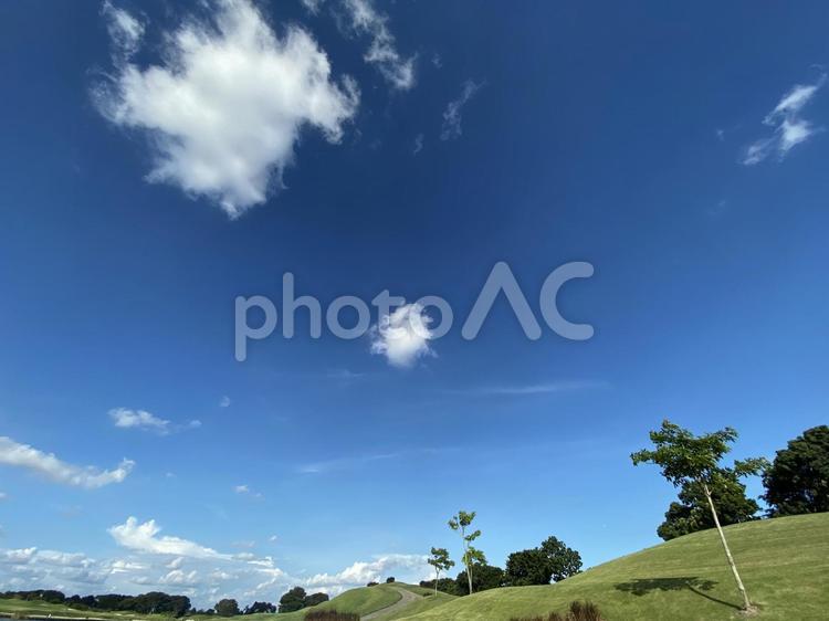 草原と爽やかな青空 空の壁紙,青空,空の写真素材
