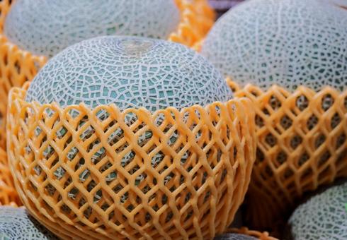 Photo, melon, fruits, summer, 