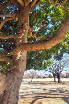 公園1 公園1の写真