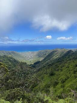 ハワイハイキング ハイキング,ハワイ,自然の写真素材