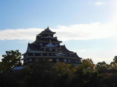 夕日に照らされシルエットになる岡山城 夕日に照らされシルエットになる岡山城の写真