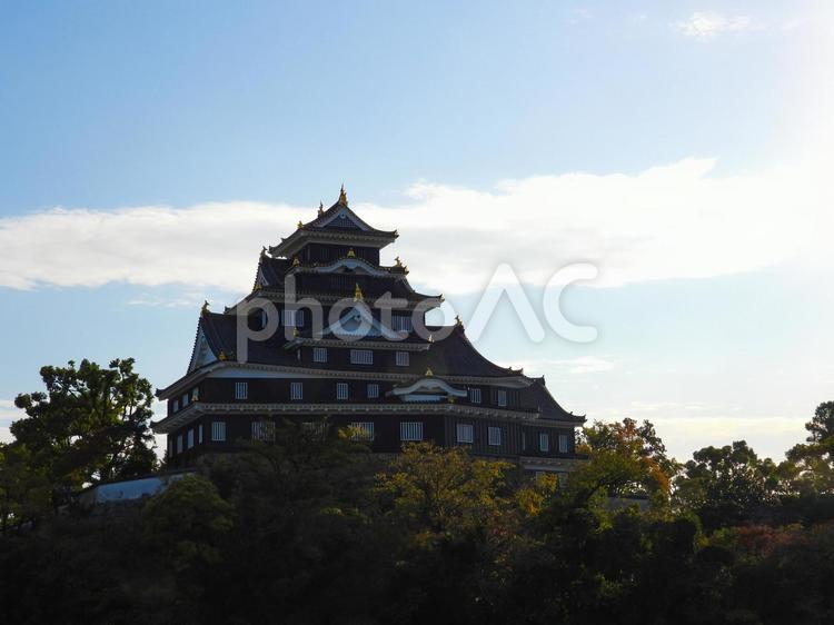 夕日に照らされシルエットになる岡山城 岡山城,烏城,天守閣の写真素材