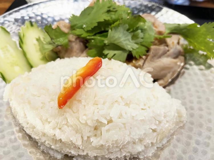 美味しそうなカオマンガイ・タイ料理・鶏肉 カオマンガイ,タイ料理,パクチーの写真素材