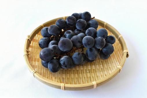 Photo, grape, gigantic peak, fruit, 