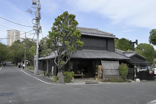 谷中風景 谷中風景 東京,谷中,谷中霊園の写真素材