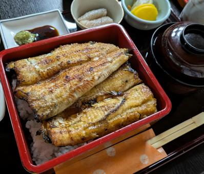 うなぎ最高 うなぎ最高 うな重,うなぎ,鰻の写真素材