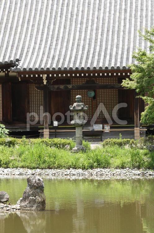 浄瑠璃寺　京都　木津 浄瑠璃寺,京都,木津の写真素材
