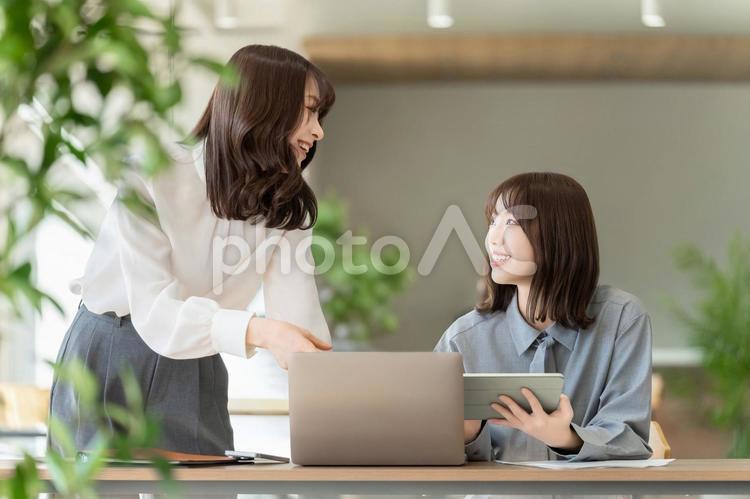 ミーティングをする2人のビジネスウーマン 女性,ビジネス,2人の写真素材