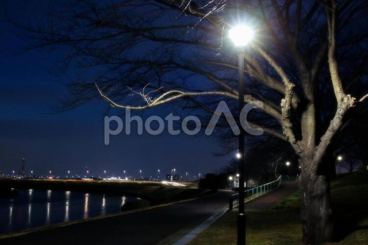街灯に照らされる川沿いの道　ソフトフォーカス背景素材 背景,街角,夜景の写真素材