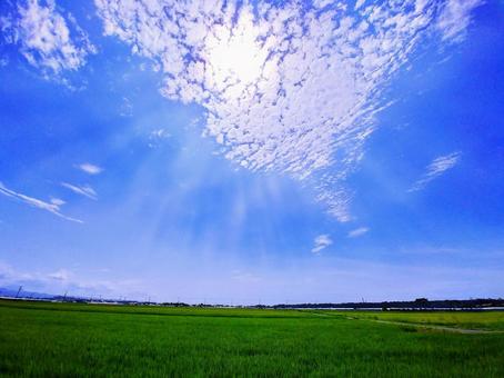 真夏の田園風景・青空・太陽光 真夏の田園風景・青空・太陽光の写真