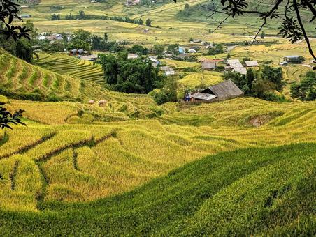 ベトナム サパ ベトナム サパ ベトナム,サパ,vietnamの写真素材