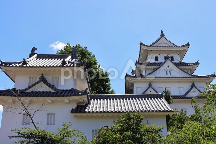 ７月下旬の大垣城の天守 大垣城,天守,城の写真素材