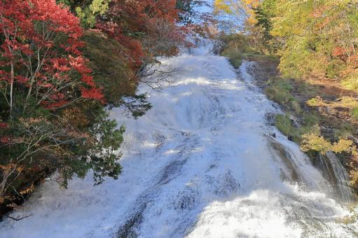 Photo, waterfall, autumn leaves, autumn, 