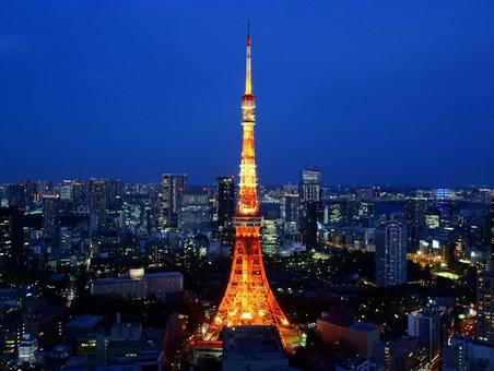 東京タワー 東京タワーの写真