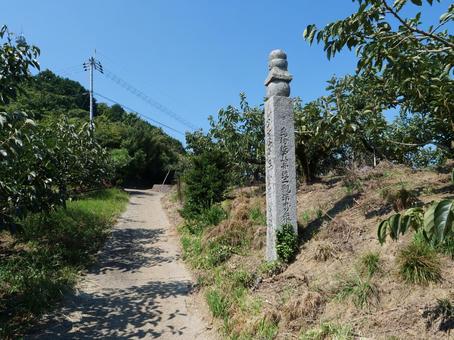 高野山 町石道 高野山 町石道の写真