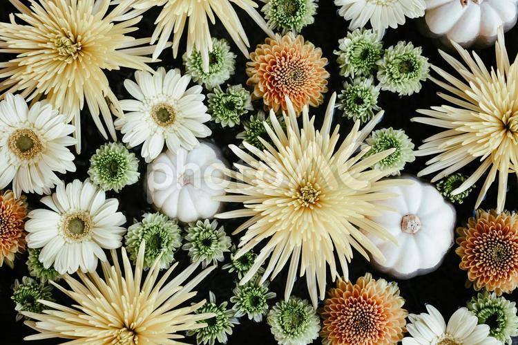 黄色、白、緑の花のフラワーアレンジメント フラワーアレンジメント,花,花束の写真素材