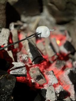 焼きマシュマロ 焼きマシュマロの写真
