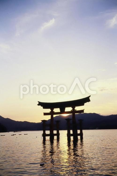 宮島大鳥居夕暮れ サンセット,海,たそがれの写真素材