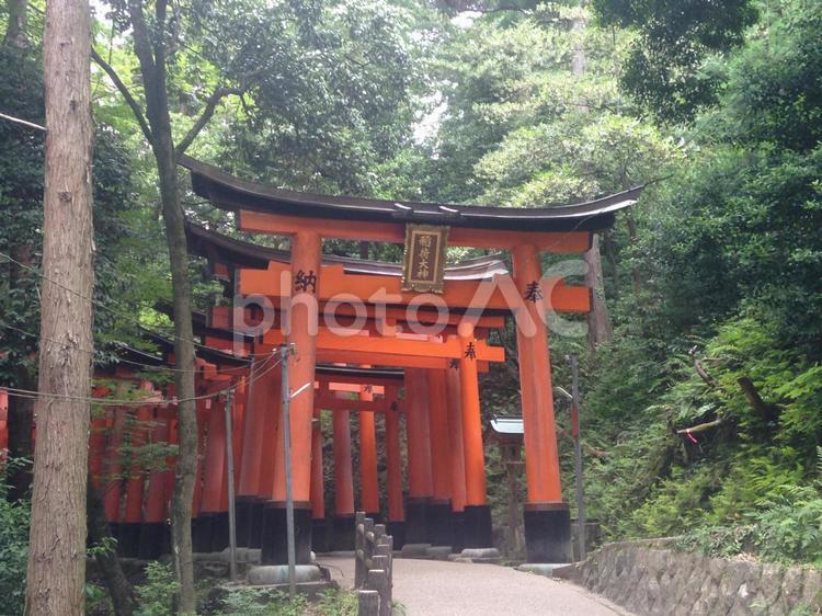 伏見稲荷大社 京都,伏見稲荷大社,神社の写真素材
