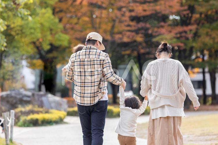 秋の公園で遊ぶ家族・ファミリー 家族,子供,ファミリーの写真素材