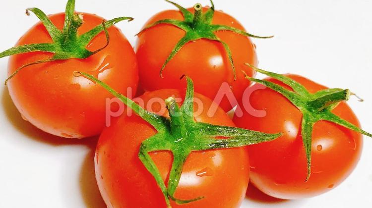 野菜　トマト　4個　アップ トマト,ミニトマト,ミディトマトの写真素材
