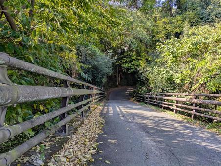落ち葉のある小橋 落葉,橋,道の写真素材