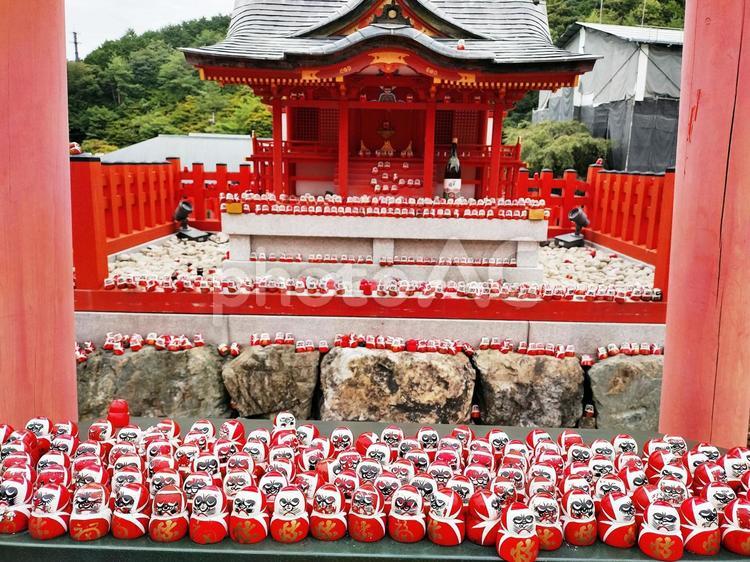 箕面　勝尾寺　だるま２ だるま,ダルマ,勝尾寺の写真素材