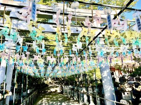 夏の風車 夏の風車 晴れ,美しい,風景の写真素材