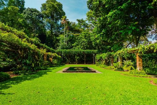 【シンガポール】植物園オーキッドガーデンの写真