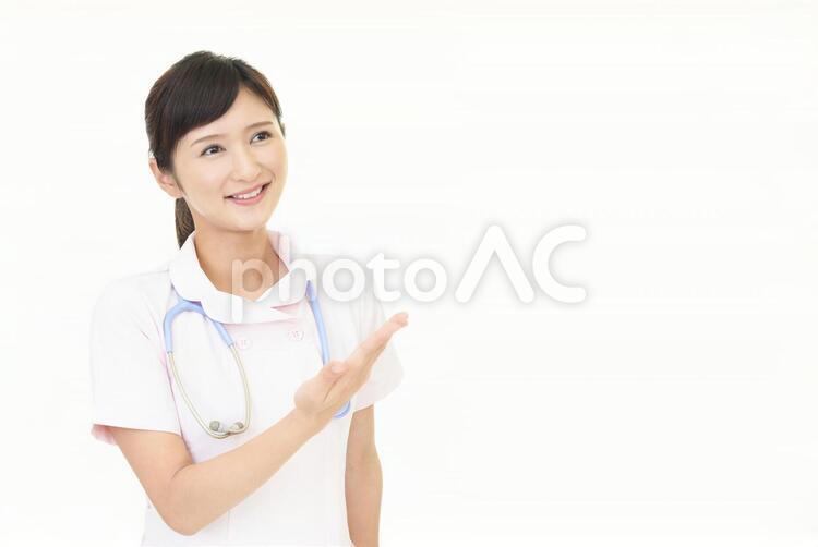 案内する笑顔の看護師 女性,女,看護師の写真素材